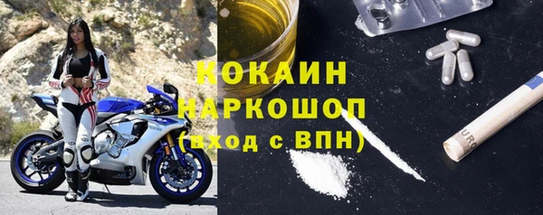сатива Алзамай