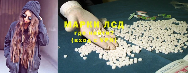 сатива Алзамай