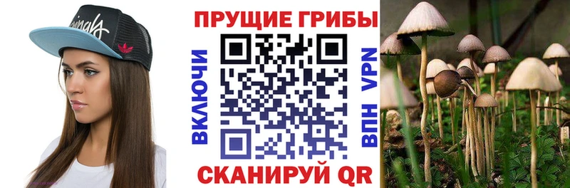 Галлюциногенные грибы GOLDEN TEACHER  Купить где  Шали 